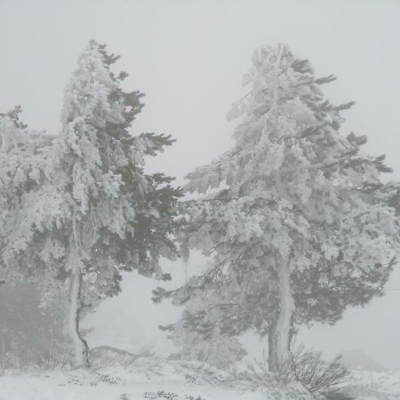 Penzion Quinta Damigo Seia Exteriér fotografie