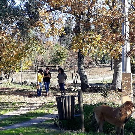 Penzion Quinta Damigo Seia Exteriér fotografie