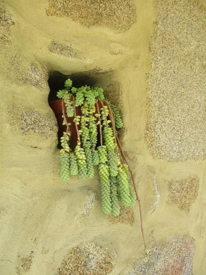 Penzion Quinta Damigo Seia Exteriér fotografie