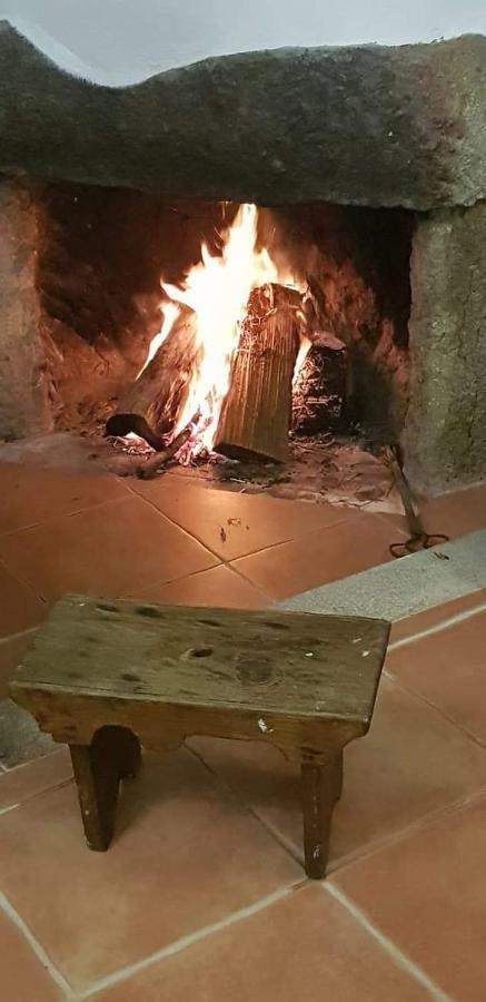 Penzion Quinta Damigo Seia Exteriér fotografie
