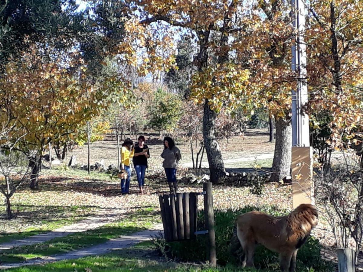 Penzion Quinta Damigo Seia Exteriér fotografie